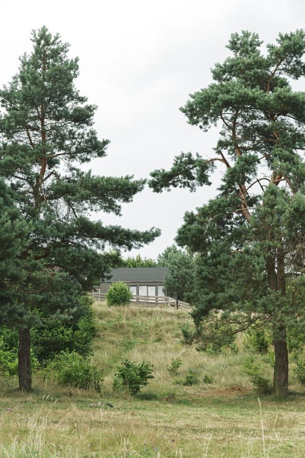 Domki W Lesie Gdansk 35 Km Bozepole Krolewskie Kültér fotó